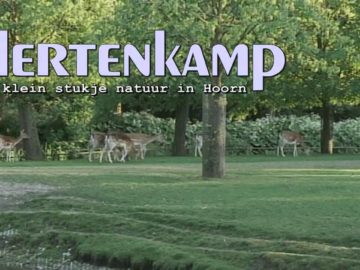 2015 Hoorn: Hertenkamp