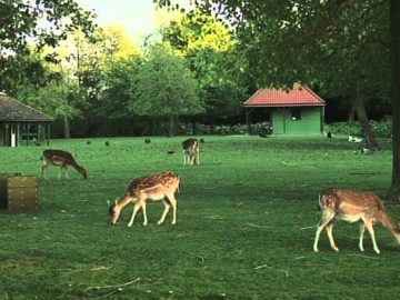 2015 Hoorn: Julianapark – Hertenkamp