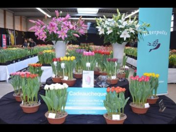 Agri Beurs 2017 …BIG DATA… in de bloembollensector