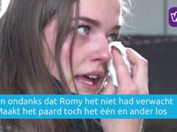 Avenhornse Tjiske Bakker gebruikt paarden om problemen bij mensen bloot te leggen