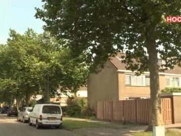 Bezwaar tegen inspraakprocedure bomenkap