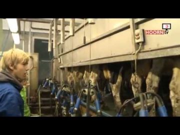 Bijbaantje – Boerderij