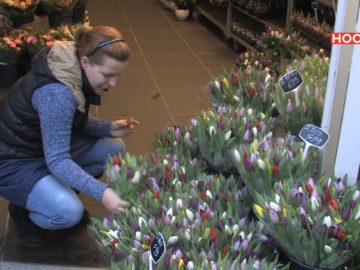 Bloemenzaak station heeft het zwaar