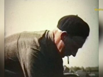 bollen kweken in 1964