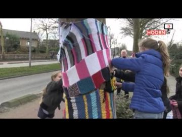 Bomen beschermen met breiwerk