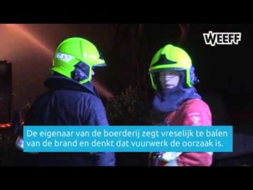 Brand Berkhout