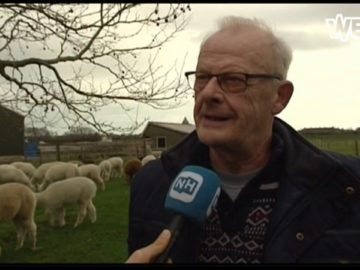 Eerste alpaca van het jaar geboren