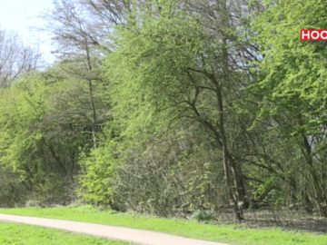 Eerste warme dag van het jaar