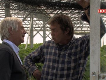 Effe Buurten – Klaas Musman