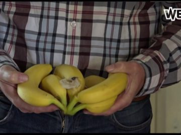 Enorme spin gevonden tussen bananen in supermarkt
