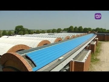 Er is weer hoop voor het Scheringa Museum