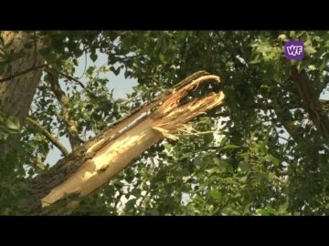 Foodtruckfestival ondernemers boos op gemeente Hoorn