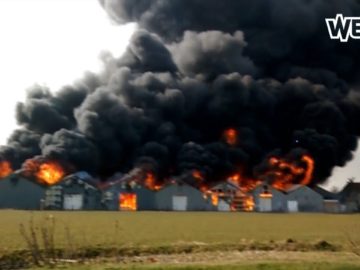 Grote uitslaande brand in Nibbixwoud