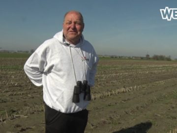 Harrie uit Obdam breekt record met vondst Scholeksterei