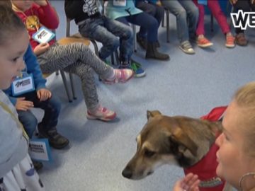 Hond Jaap geeft Medemblikse scholieren snuffelcursus
