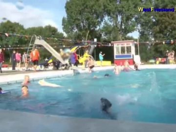 Honden zwemmen in Hoogkarspel