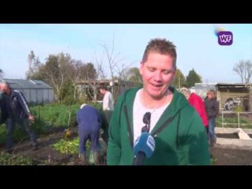 Jaarlijkse bietenbal, wie heeft de zwaarste suikerbiet van Noord-Holland Noord