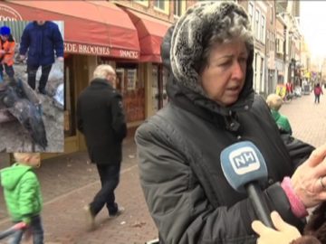 Joekels van meervallen gevonden in een put