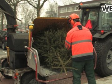 Kerstbomen versnipperen