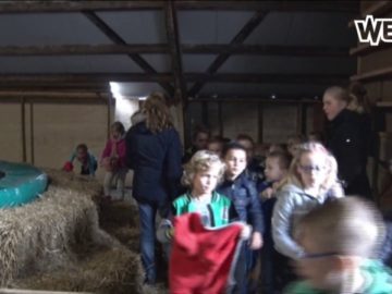 Kinderen kunnen lol op tijdens vakantie