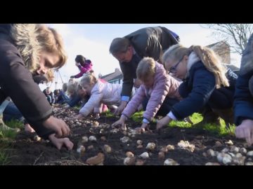 Kinderen planten bloembollen voor Kleur voor de deur