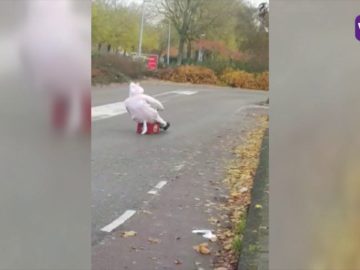 Max bouwde zijn eigen rijdend kratje bier