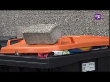 Meer en meer klachten in Westfriesland over stinkende rolcontainers