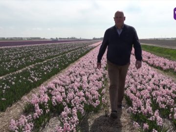 Meer en meer Polen vestigen zich voorgoed in West Friesland