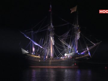 Nachtkapers druk bezocht