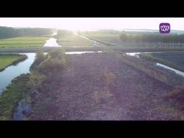 Natuurgebied De Weelen in Lutjebroek van bos met bomen naar kale vlakte door essentaksterfte