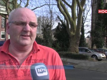 Oneinigheid over Platanen