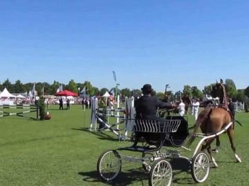 Opmeer 2013 Ereklasse Tuigpaarden