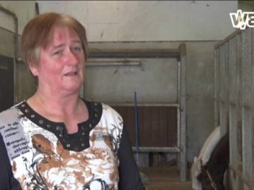 Paardenmelk grote hit in Zwaagdijk