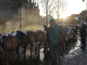 Paasvee – tentoonstelling in Schagen 2016