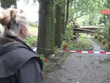 Paradijs in Aartswoud verwoest