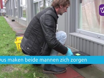 Ratten vormen een steeds grotere plaag in Noord-Holland