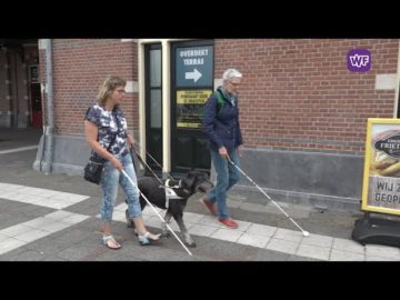 Sandra van Leeuwen en Janny Meijer maken zich sterk voor de ‘blindegeleidelijn’