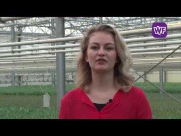 Spierdijkse Lisa Smit opent Tulpendag in Amsterdam