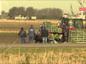 Telers niet blij met jachtverbod