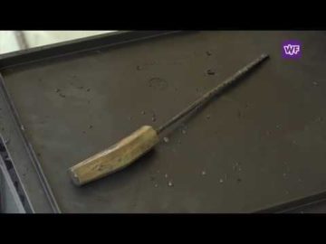 Tientallen zestiende eeuwse schatten gevonden bij Warder