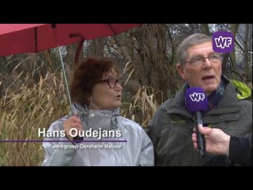 Ursemmers blij met nieuwe ijsvogelwand