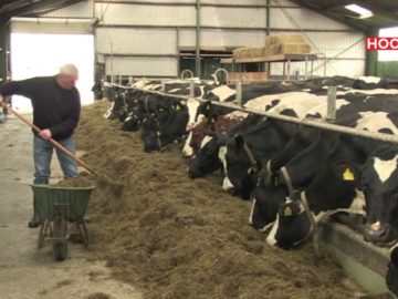 Verzet tegen windmolens houdt aan