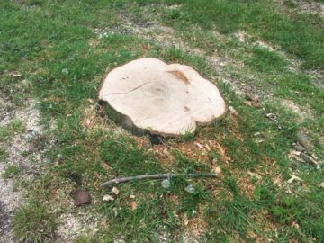 Voor 5000 euro vernield in Nesbos bij Medemblik