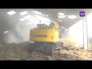 Voorbijganger was op het juiste moment op de juiste plek, kalfjes gered bij schuurbrand