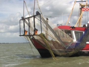 Waterplanten maaien in Markermeer