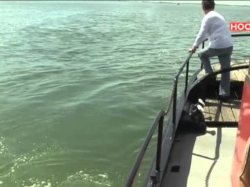 Zeewier verstopt Markermeer