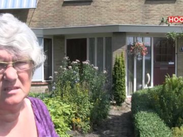 Zwaan terroriseert buurt in Avenhorn